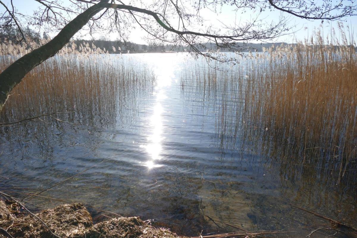 Landhaus Am See App. 2 Ponitz am See Εξωτερικό φωτογραφία